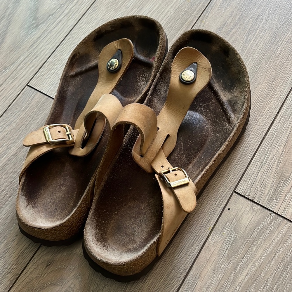 Betula Sandal